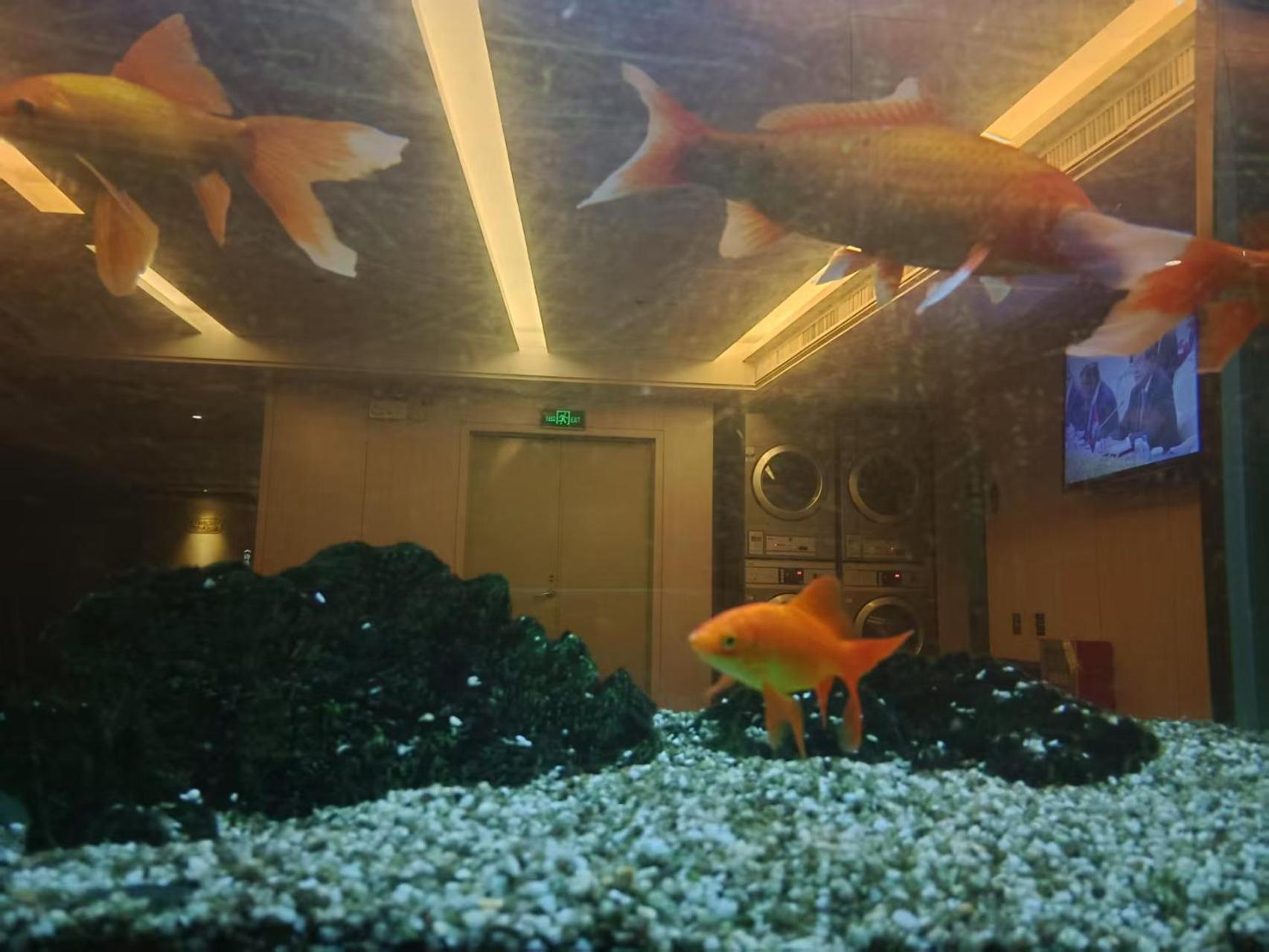 Paco Hotel Tianhe Coach Terminal Metro Satation Guangzhou-Free Shuttle Bus For Canton Fair Exteriör bild